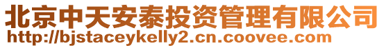北京中天安泰投資管理有限公司