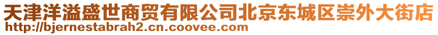 天津洋溢盛世商貿(mào)有限公司北京東城區(qū)崇外大街店