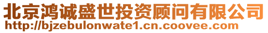 北京鴻誠盛世投資顧問有限公司
