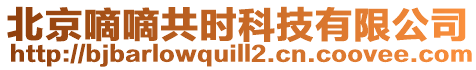 北京嘀嘀共時科技有限公司