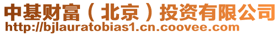 中基財(cái)富(北京)投資有限公司