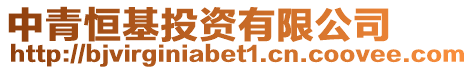 中青恒基投資有限公司