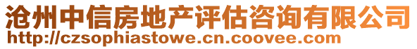 滄州中信房地產評估咨詢有限公司
