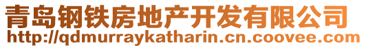 青島鋼鐵房地產開發有限公司