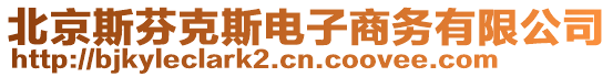 北京斯芬克斯電子商務有限公司