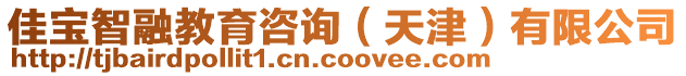 佳寶智融教育咨詢（天津）有限公司