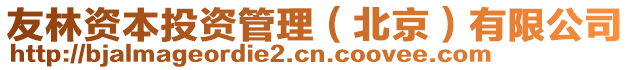 友林資本投資管理(北京)有限公司