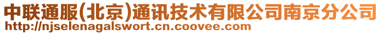 中聯通服(北京)通訊技術有限公司南京分公司