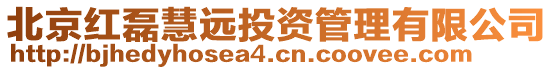 北京紅磊慧遠(yuǎn)投資管理有限公司