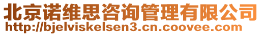 北京諾維思咨詢管理有限公司