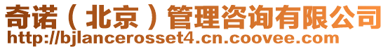 奇諾(北京)管理咨詢有限公司