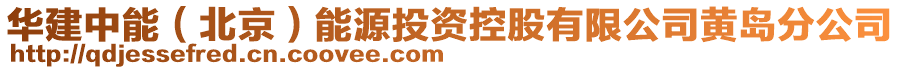 華建中能(北京)能源投資控股有限公司黃島分公司
