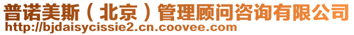 普諾美斯(北京)管理顧問咨詢有限公司
