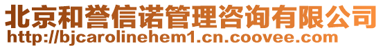 北京和譽信諾管理咨詢有限公司