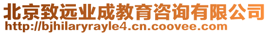 北京致遠業成教育咨詢有限公司