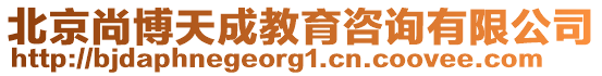 北京尚博天成教育咨詢(xún)有限公司