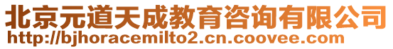 北京元道天成教育咨詢有限公司