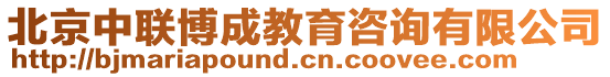 北京中聯博成教育咨詢有限公司