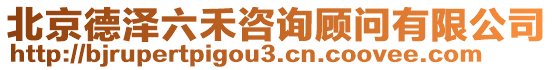 北京德澤六禾咨詢顧問有限公司