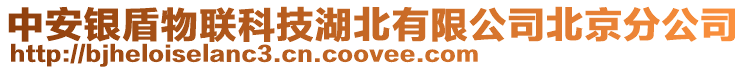 中安銀盾物聯科技湖北有限公司北京分公司