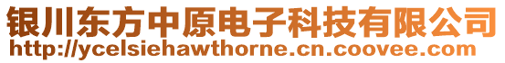 銀川東方中原電子科技有限公司