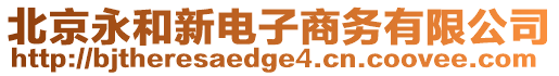 北京永和新電子商務有限公司