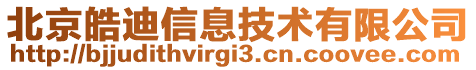 北京皓迪信息技術有限公司