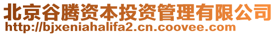 北京谷騰資本投資管理有限公司