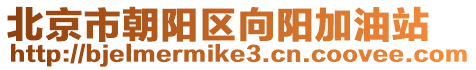 北京市朝陽區向陽加油站