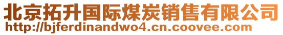 北京拓升國(guó)際煤炭銷售有限公司