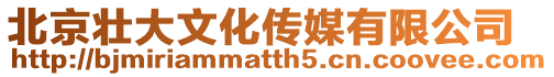北京壯大文化傳媒有限公司