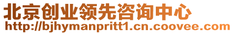 北京創(chuàng)業(yè)領(lǐng)先咨詢中心