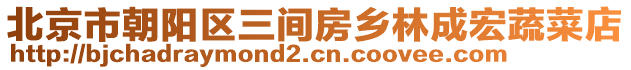 北京市朝陽區(qū)三間房鄉(xiāng)林成宏蔬菜店