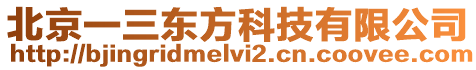 北京一三東方科技有限公司