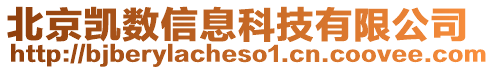 北京凱數信息科技有限公司