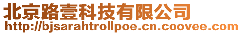 北京路壹科技有限公司