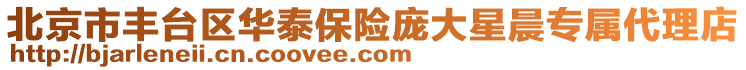 北京市豐臺區(qū)華泰保險龐大星晨專屬代理店