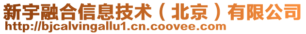 新宇融合信息技術(shù)（北京）有限公司