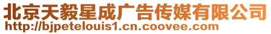 北京天毅星成廣告傳媒有限公司
