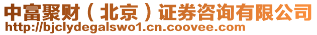 中富聚財(北京)證券咨詢有限公司