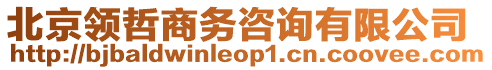 北京領(lǐng)哲商務(wù)咨詢有限公司