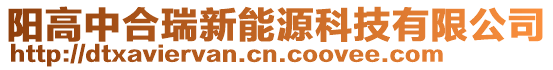 陽高中合瑞新能源科技有限公司
