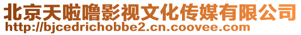 北京天啦嚕影視文化傳媒有限公司