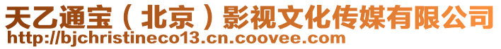 天乙通寶(北京)影視文化傳媒有限公司