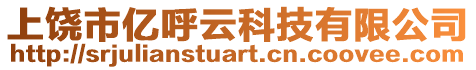 上饒市億呼云科技有限公司