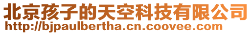 北京孩子的天空科技有限公司