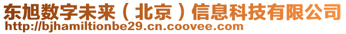 東旭數(shù)字未來(lái)（北京）信息科技有限公司