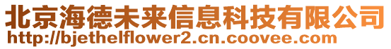 北京海德未來信息科技有限公司