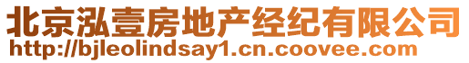 北京泓壹房地產(chǎn)經(jīng)紀(jì)有限公司