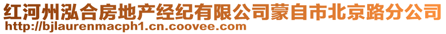 紅河州泓合房地產經紀有限公司蒙自市北京路分公司